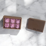 Fruit Clay Stamp Set  3D Printed Pottery Stamps for Ceramics, Soap & Clay  Includes Box  Optional Extension Handle
