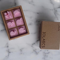 Fruit Clay Stamp Set  3D Printed Pottery Stamps for Ceramics, Soap & Clay  Includes Box  Optional Extension Handle